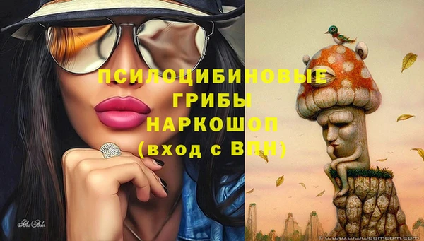 герыч Алзамай