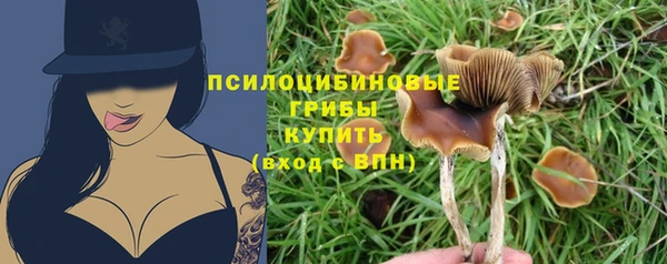 герыч Алзамай