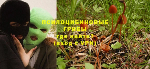 метадон Алексеевка