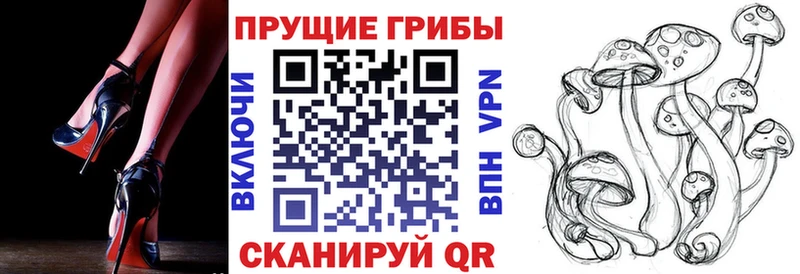купить наркотики сайты  Ардон  Галлюциногенные грибы мухоморы 